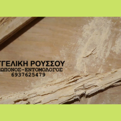 Σαράκι σε πάτωμα